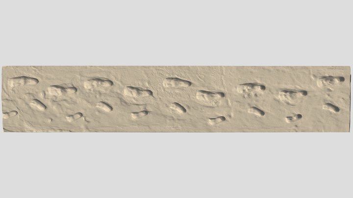 Laetoli footprints 3D Model