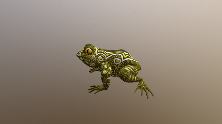 Frog_02 3D Model