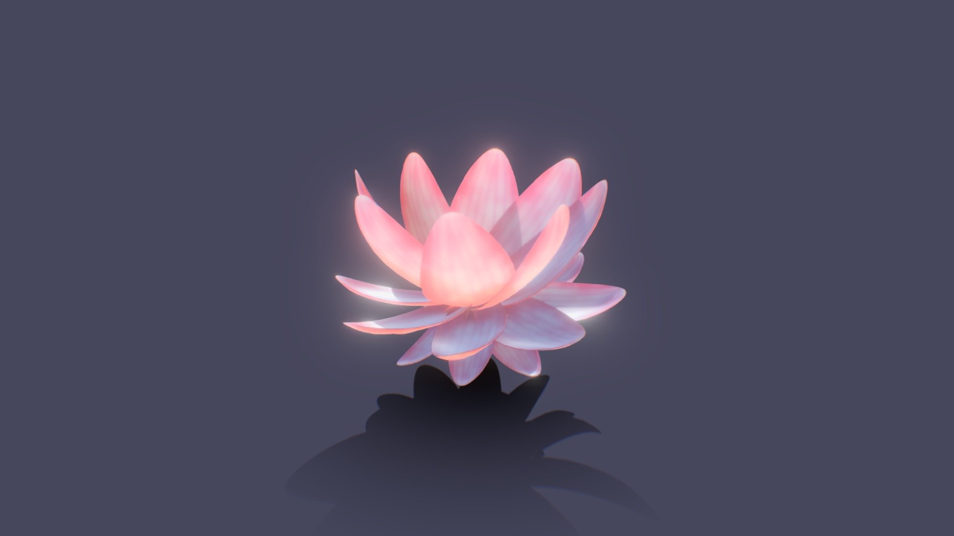 Lotus3