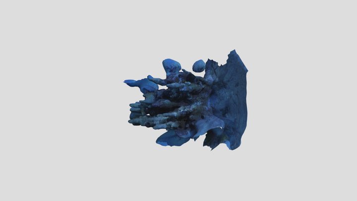 bush2 3D Model