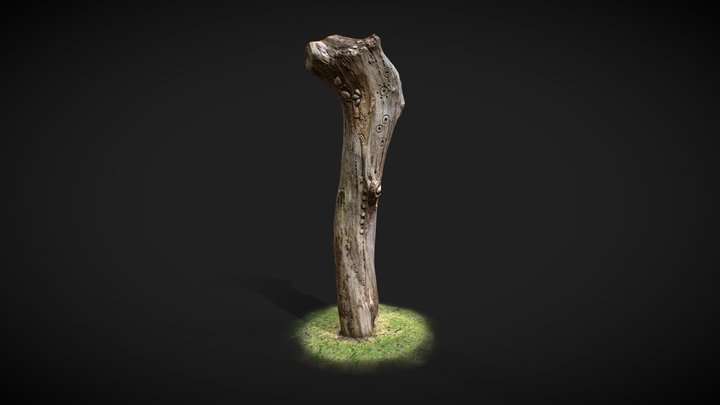 Sensory Log 3D Model