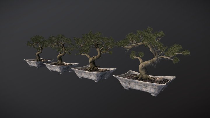 Potted Plant Pack 3D Model