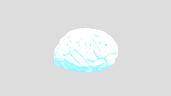 brain_test_2 3D Model