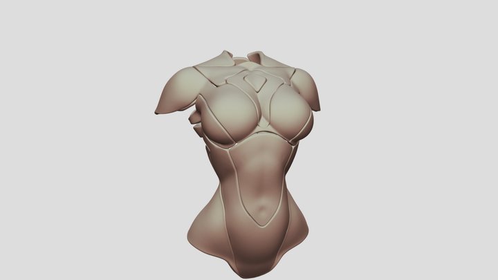 female armor 3D Model