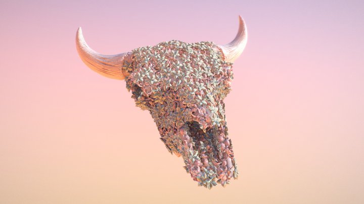 3D Remix Challenge - Decorated Bison Cranium 3D Model