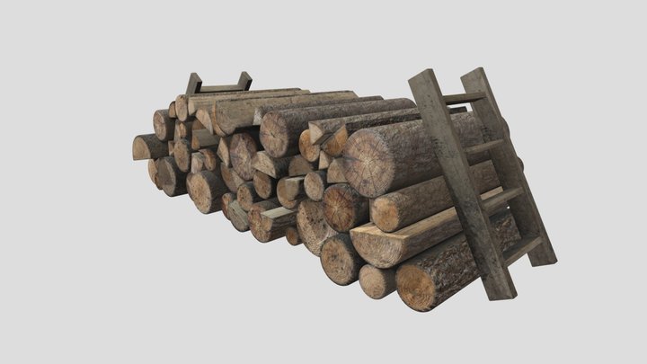 Firewood_HP 3D Model