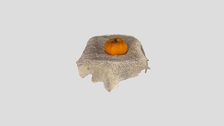 Pumpkin on furry surface 3D Model