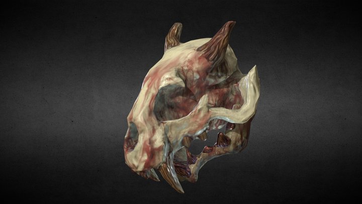 Skull of goblin 3D Model