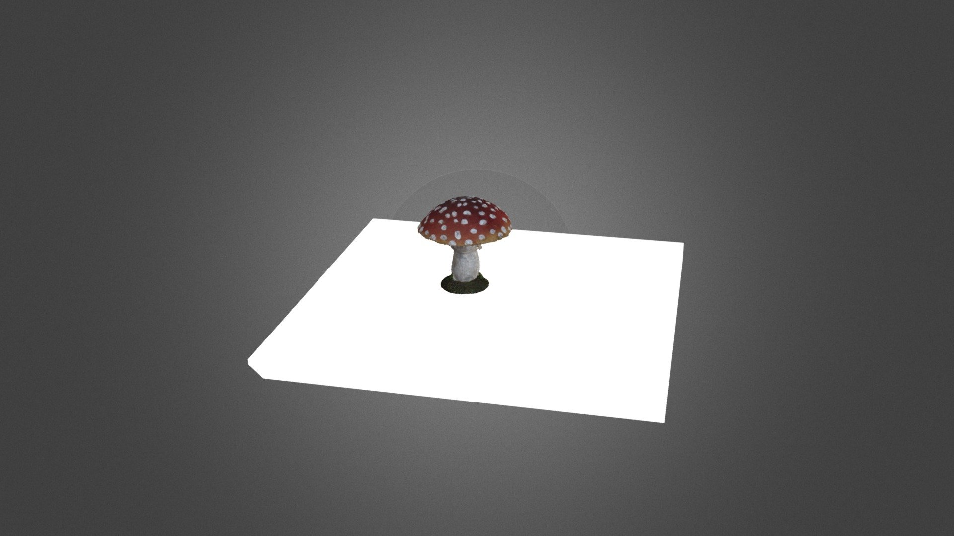 Test champignon ccf techno