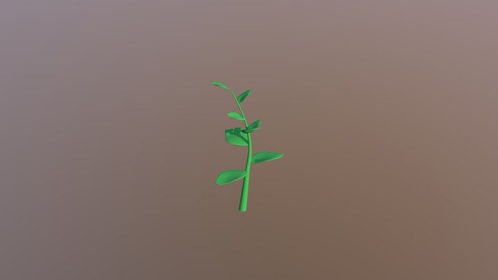 Leaf Anim 3D Model