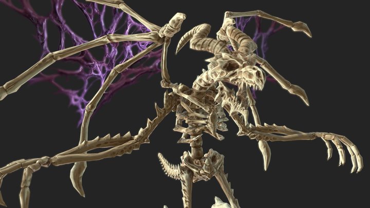 Dragon Bones 3D Model