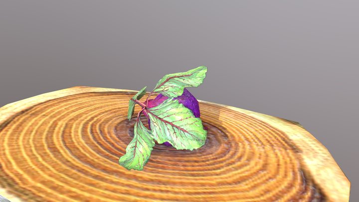 Assets 3D Model