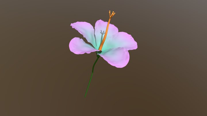 Hibiscus Flower + Stem 3D Model