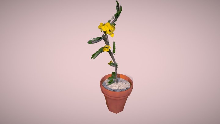 Lily_Polster_00323-70458_wk09_plant 3D Model