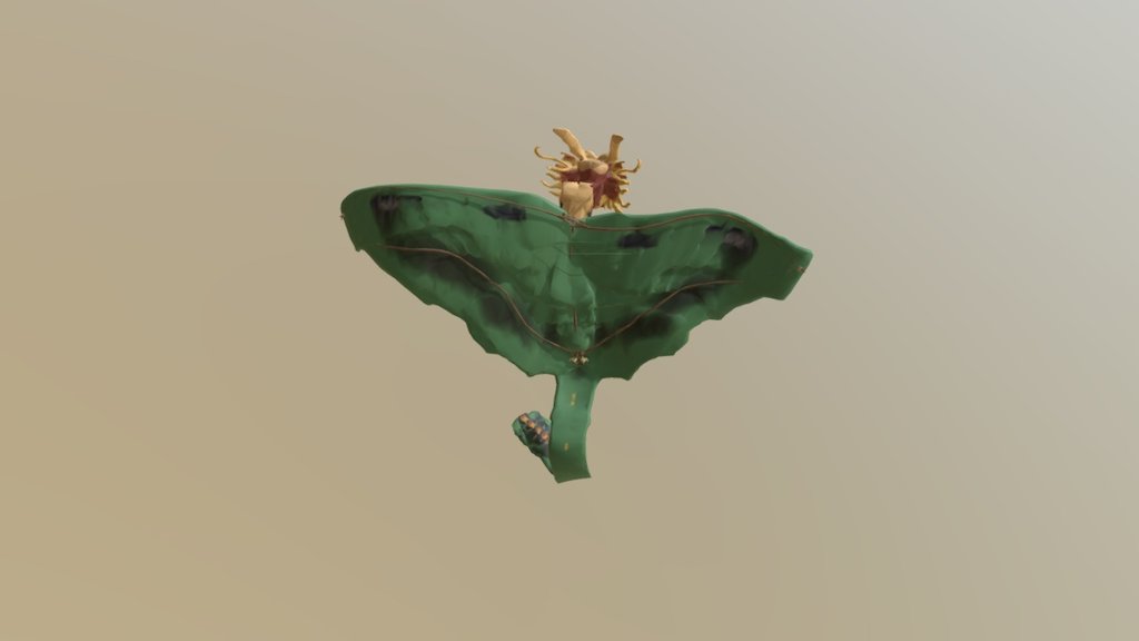 Dragonpose2