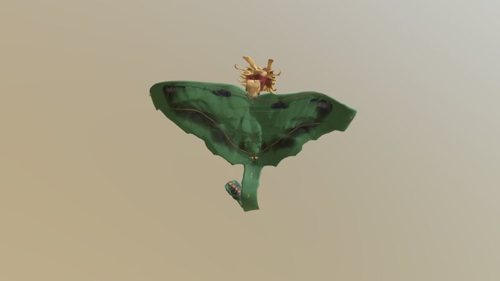 Dragonpose2 3D Model