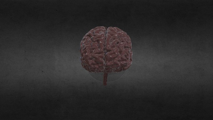 Segmentation Brain (#2) 3D Model