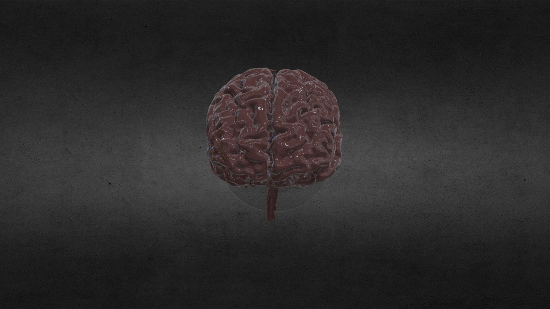 Segmentation Brain (#2)