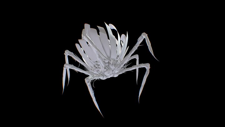 spider-flower concept 3D Model