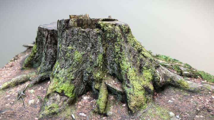 Boubín Stump – Modelo 3D gratuito STL