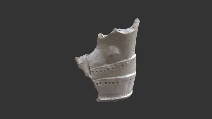 Foot3 3D Model