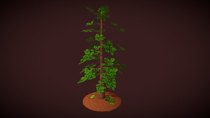 Дуб 3D Model
