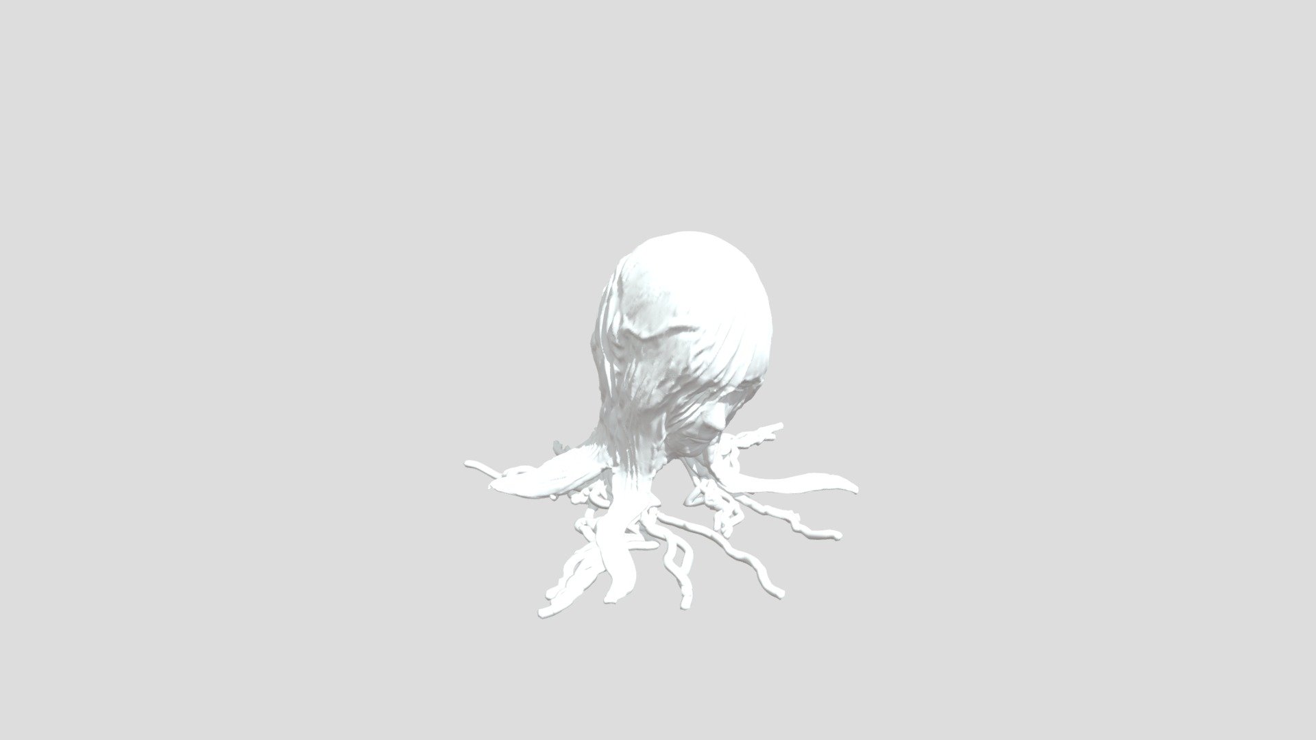 Snail_Head