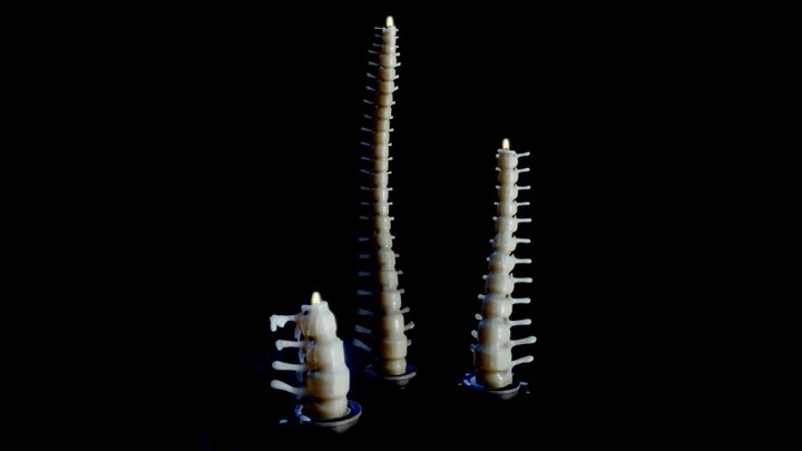 Spine candles 3D Model