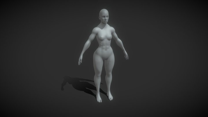 Humananatomy 3D models - Sketchfab