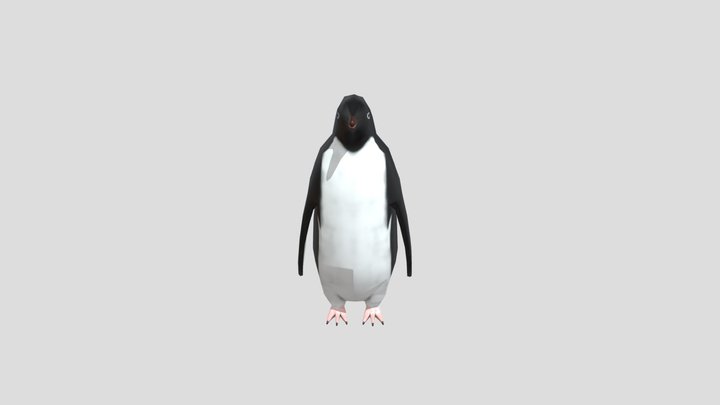 low poly adelie penguin 3D Model