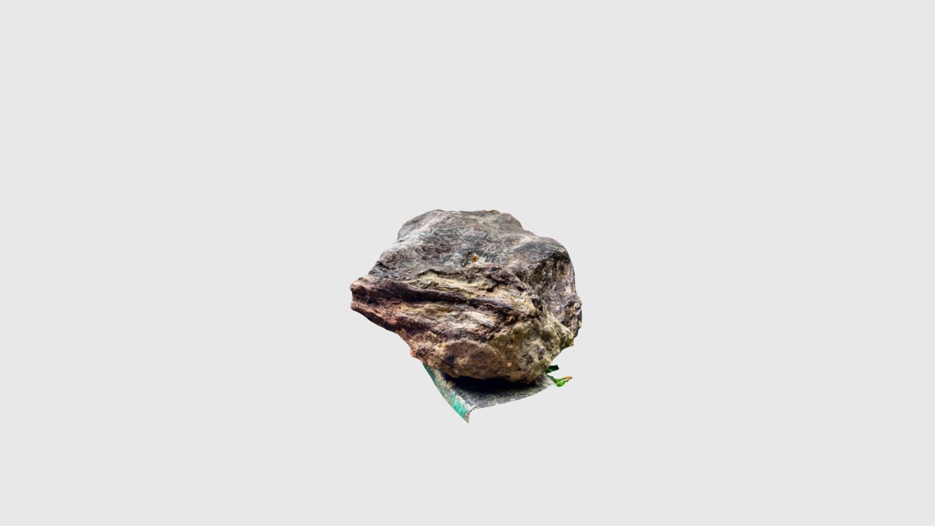 Petrified Wood