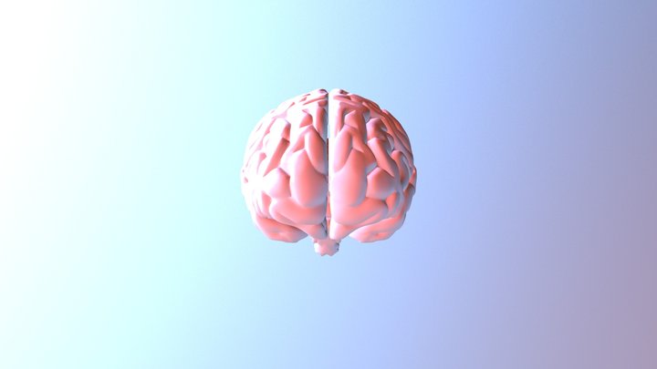 Brain Fbx 3D Model