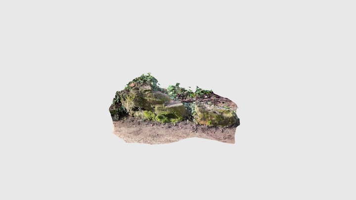Stone, at Segovia river 3D Model