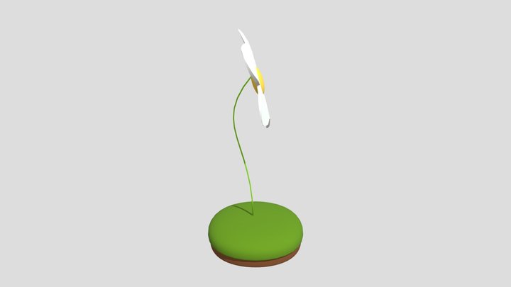 Flor - Second Project 3D Model