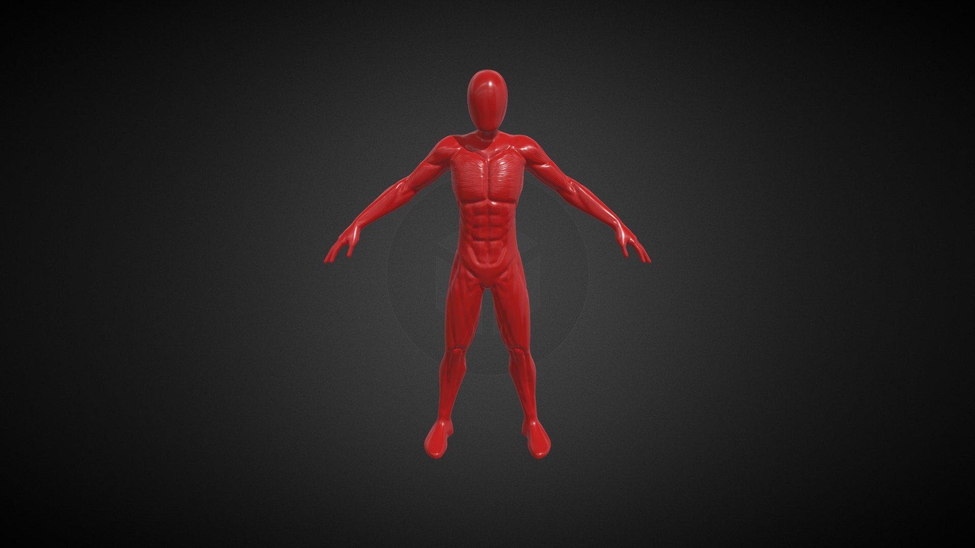 2283_EtienneDUHE_Anatomy