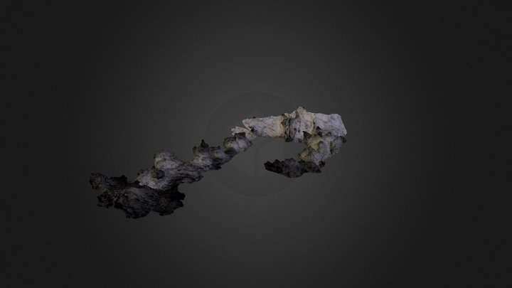 Hoh St01 3D Model