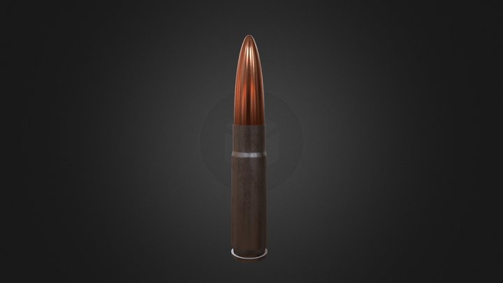 .300 Blackout Cartridge 3D Model