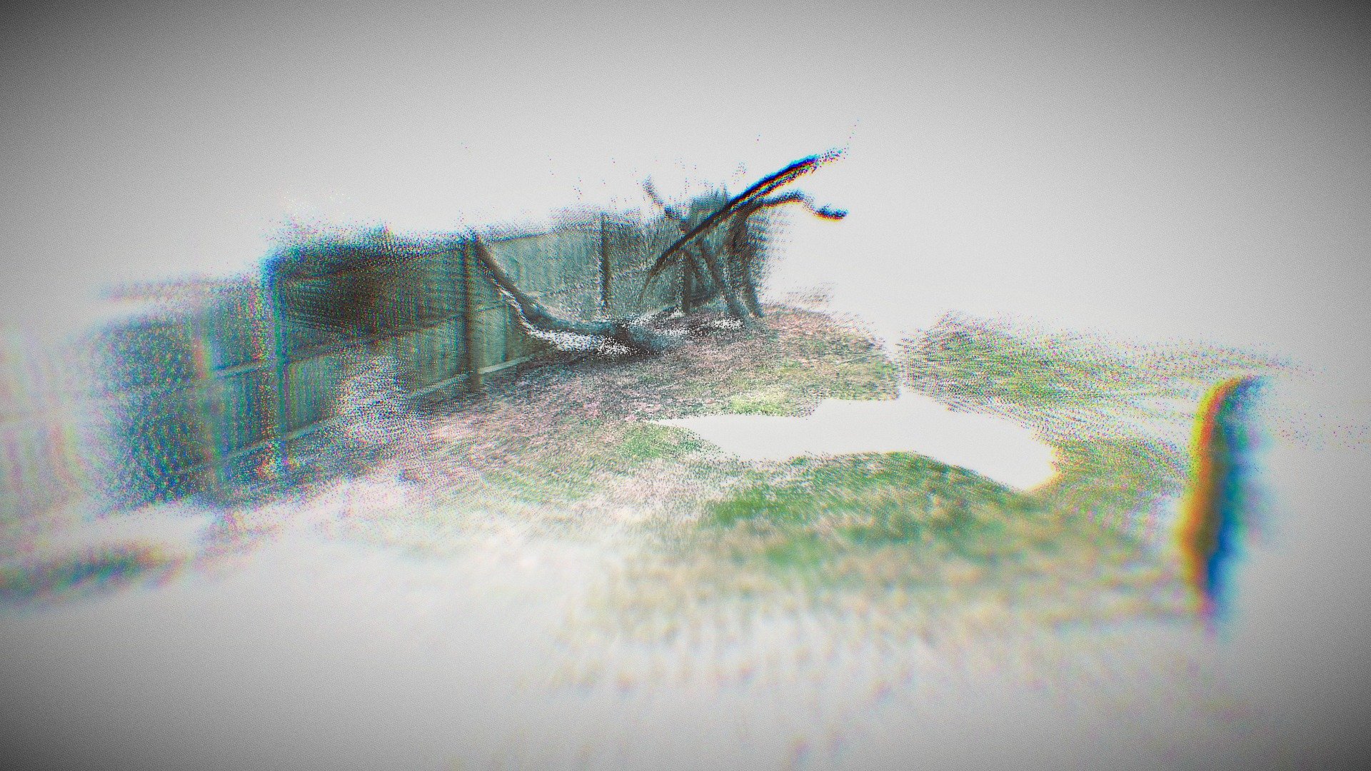 Tree_SiteScape