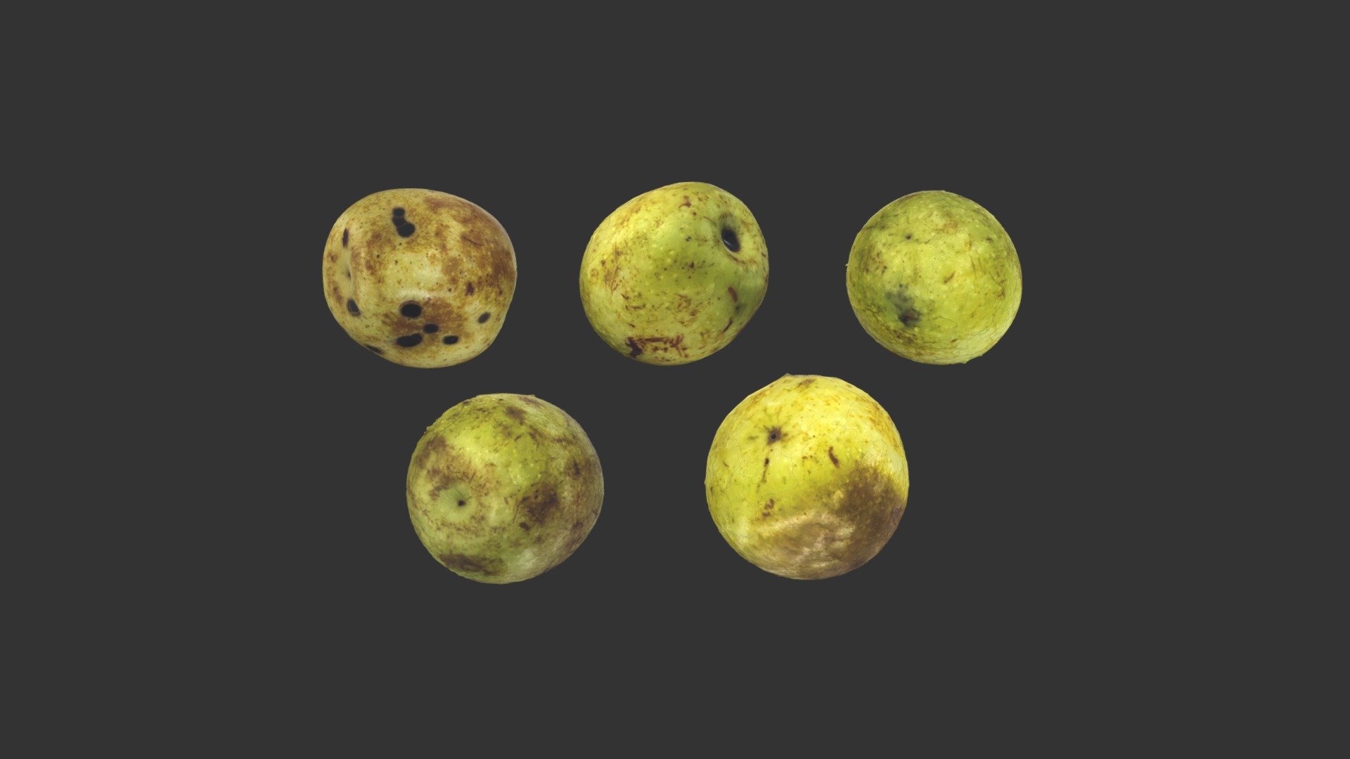 Date Jujube