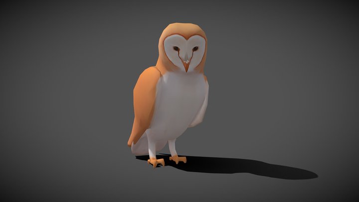 Barn Owl 3D Model