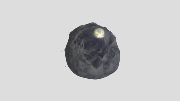 new setup 3D Model