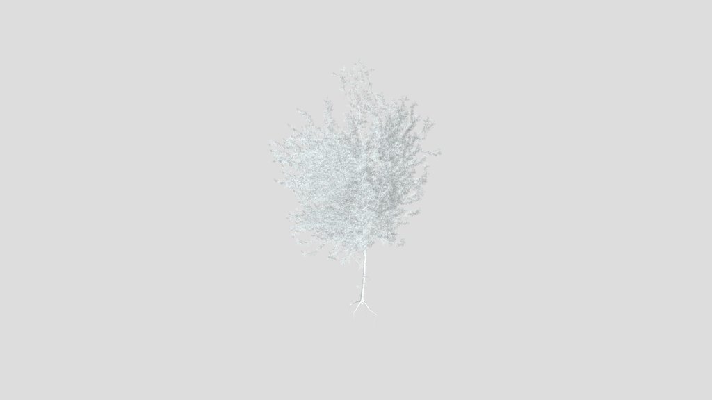 Sj Realistic Spruce Tree