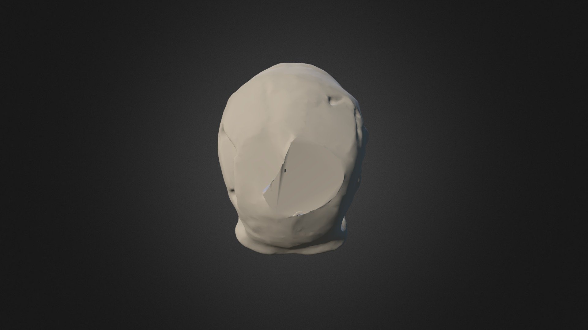 Homo erectus Sangiran - b