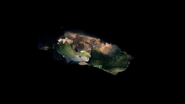 Sipadan Turtle Tomb - Dolphin Section 3D Model