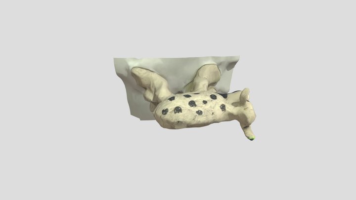 Cow 3D Model