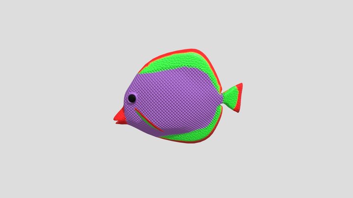 Clown Fish 3D Model