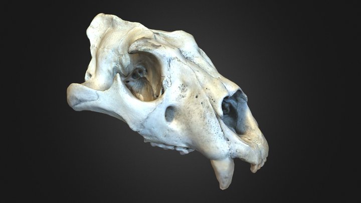 Tigre Crane 2 – Modèle 3D gratuit STL