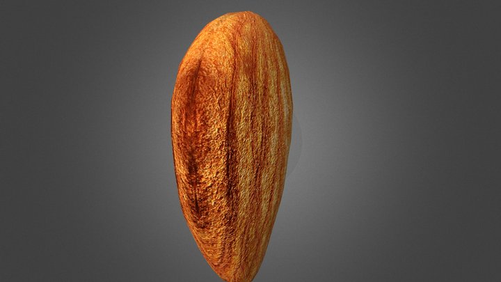Almonds 3D Model