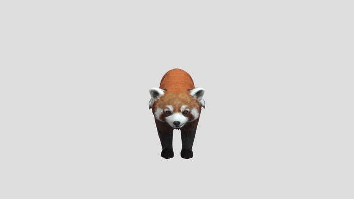 Redpanda 3D models - Sketchfab