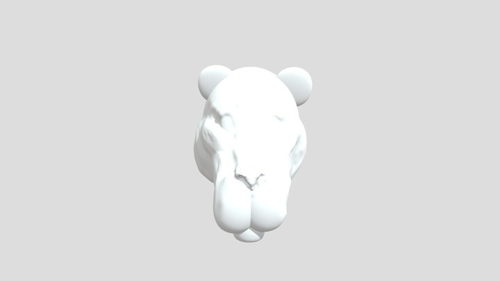 My model 3D Model